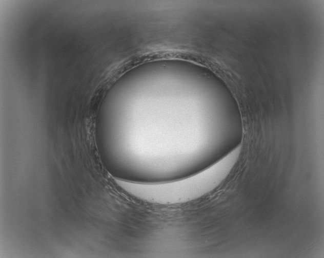 X0000064761157200602101020
