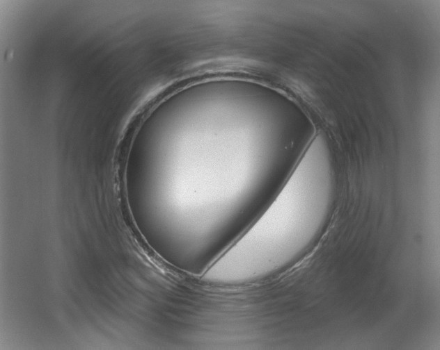 X0000064761164200602101020