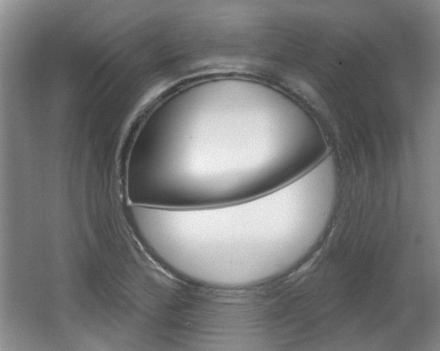 X0000064761172200602101020