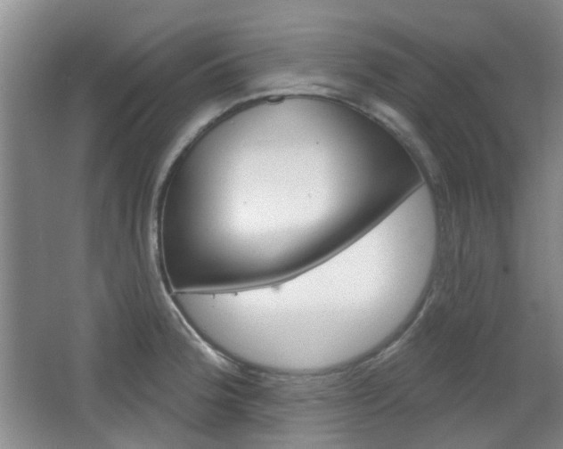 X0000064761188200602101020