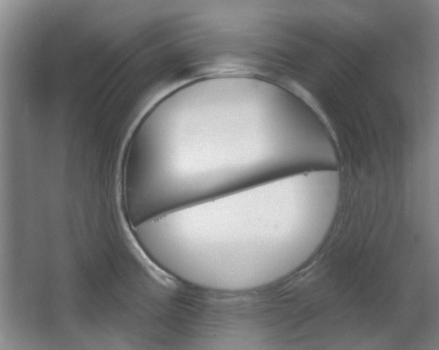 X0000064761195200602101019