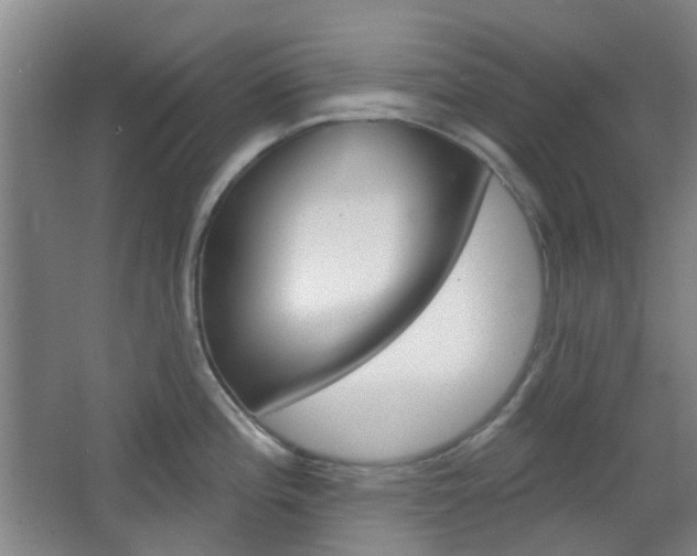 X0000064761196200602101019