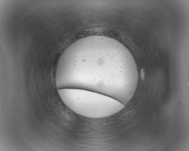 X0000064761203200602101019