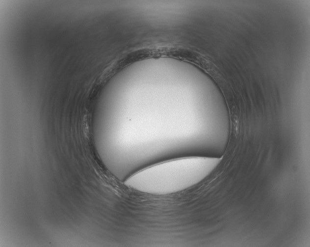 X0000064761204200602101019