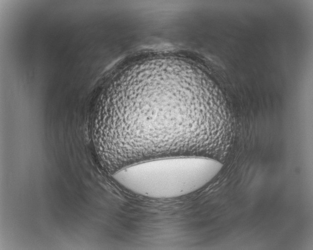 X0000064761205200602101019