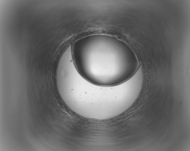 X0000064761206200602101019