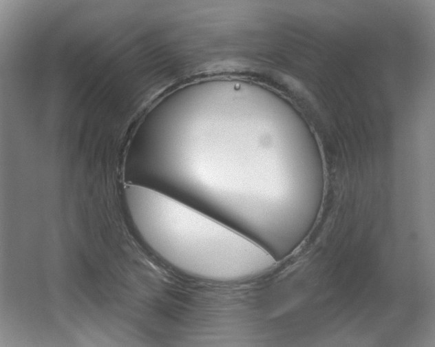X0000064761217200602101019