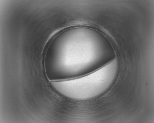 X0000064761222200602101019