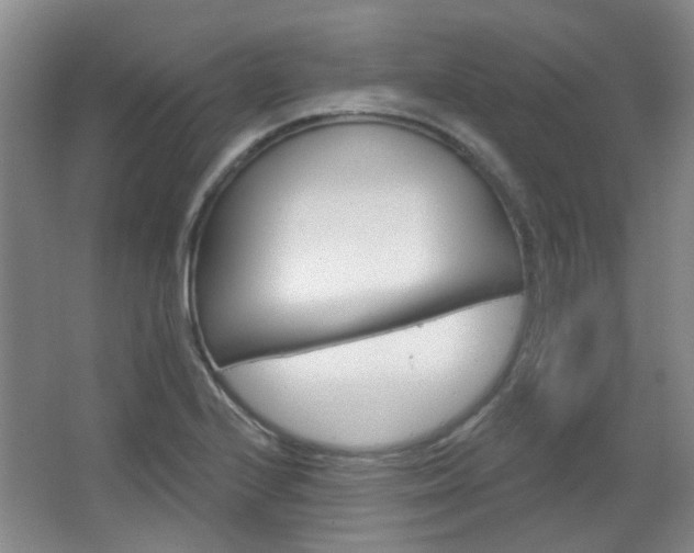X0000064761224200602101019