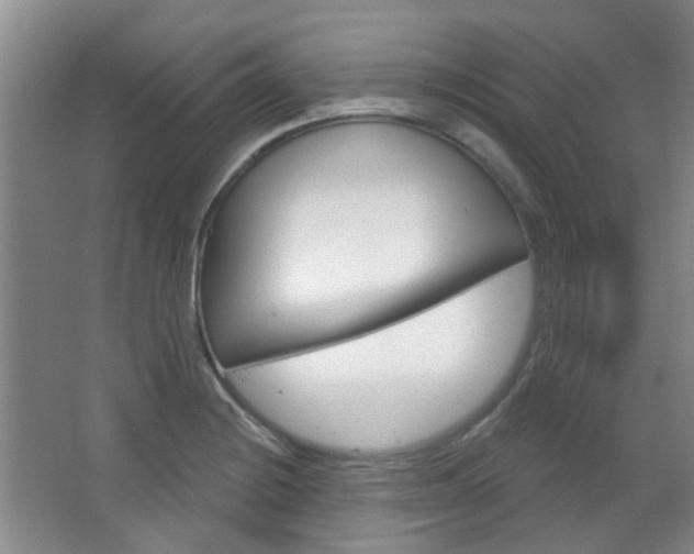 X0000064761228200602101019