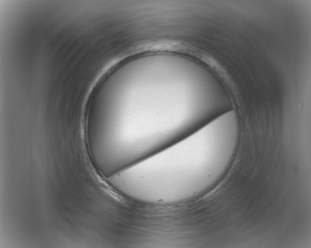 X0000064761232200602101019