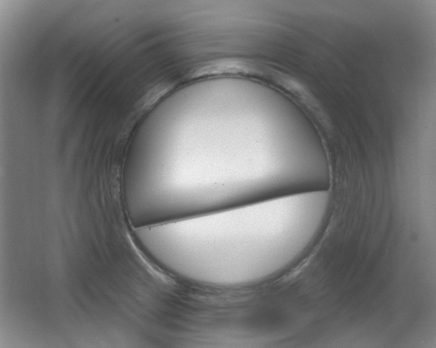 X0000064761233200602101019