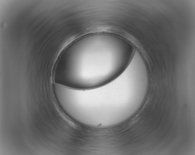 X0000064761234200602101019