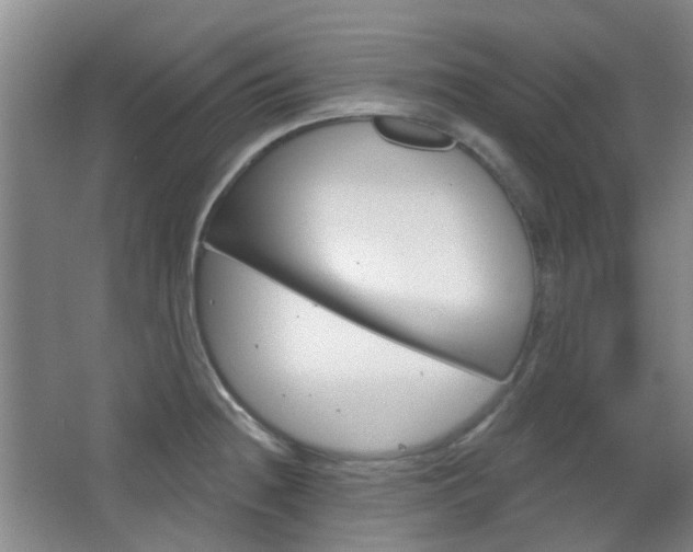 X0000064761236200602101019