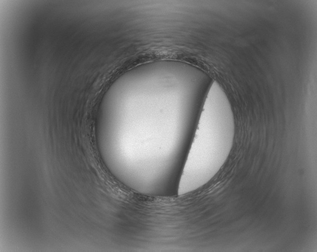 X0000064761249200602101018