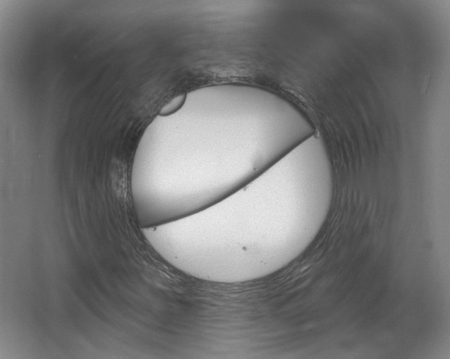 X0000064761251200602101018