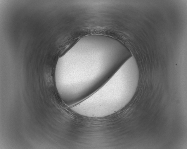X0000064761252200602101018