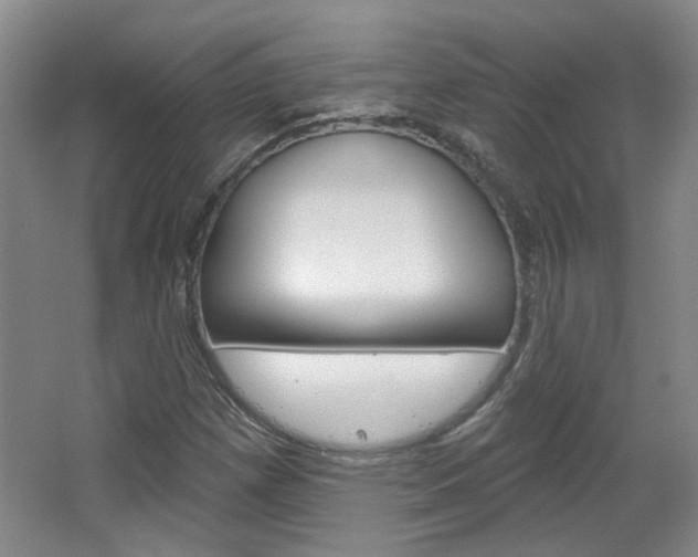 X0000064761257200602101018