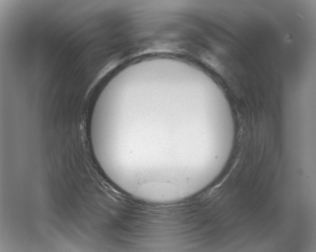 X0000064761258200602101018
