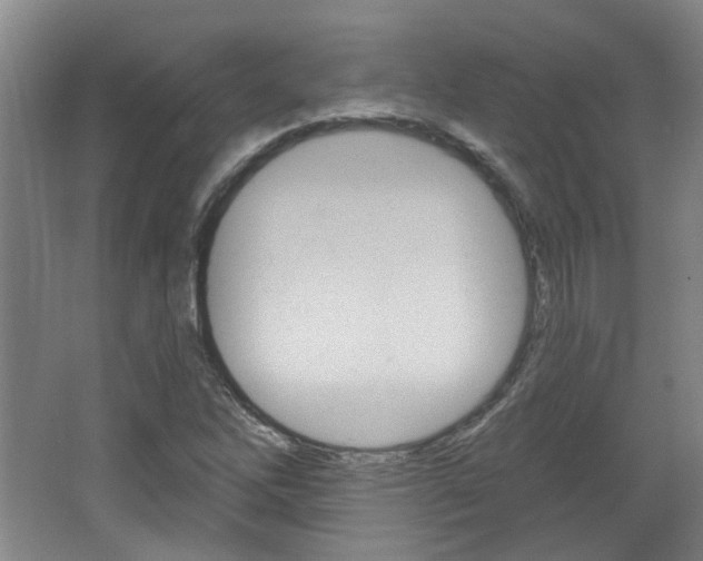 X0000064761262200602101018