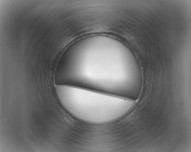 X0000064761265200602101018