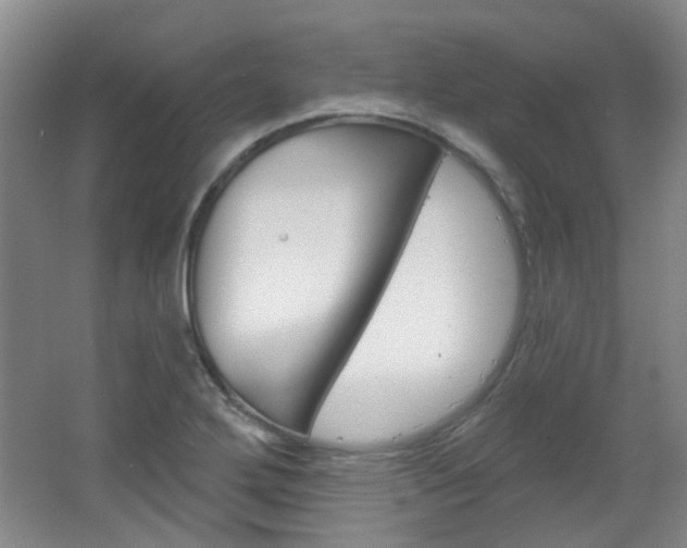 X0000064761272200602101018