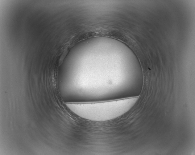 X0000064761298200602101017