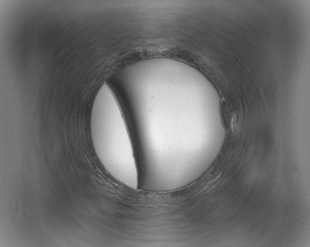 X0000064761299200602101017