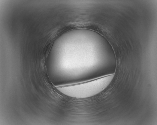 X0000064761300200602101017