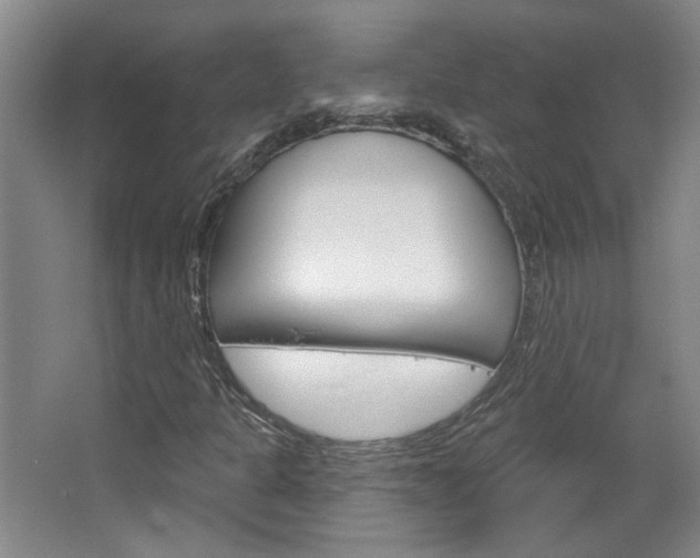 X0000064761301200602101017