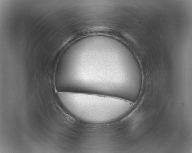 X0000064761305200602101017