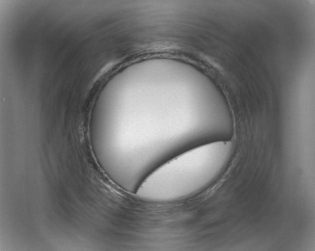 X0000064761306200602101017