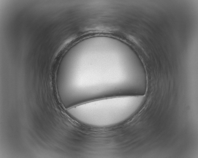 X0000064761307200602101017