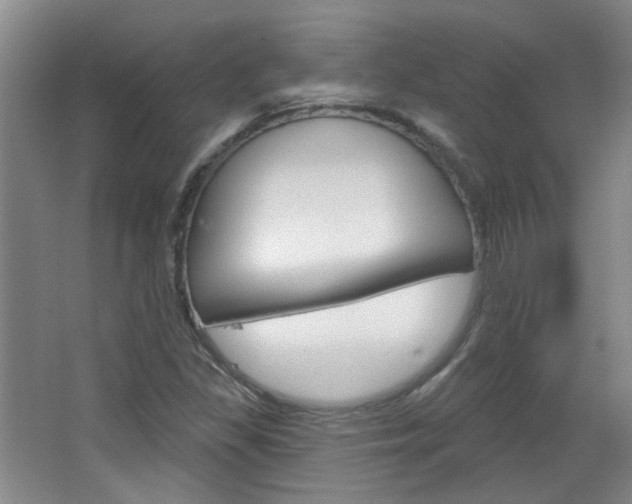 X0000064761309200602101017
