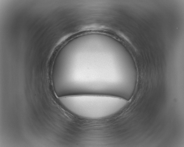 X0000064761315200602101017