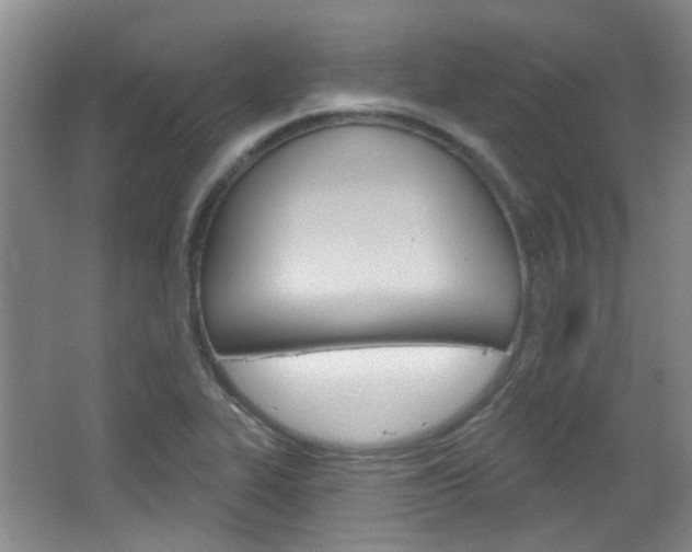 X0000064761319200602101017