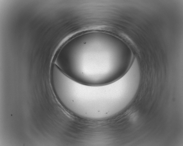 X0000064761324200602101017