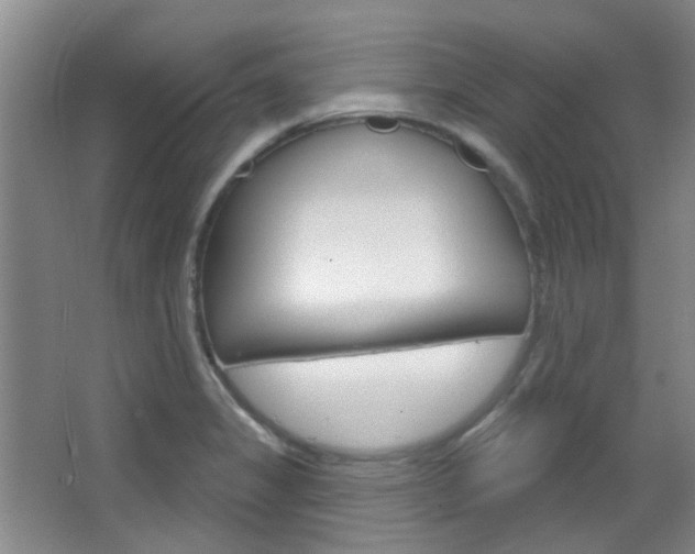 X0000064761325200602101017
