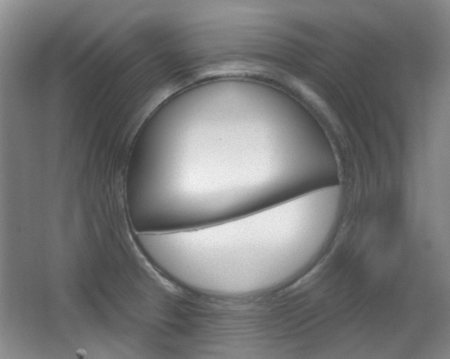 X0000064761329200602101017