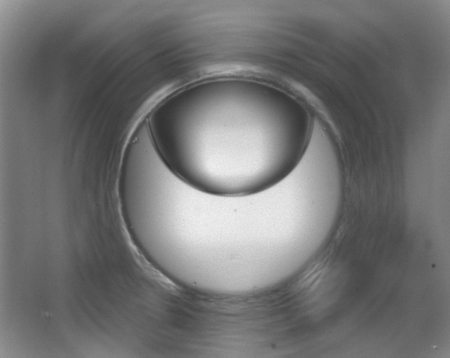 X0000064761330200602101017