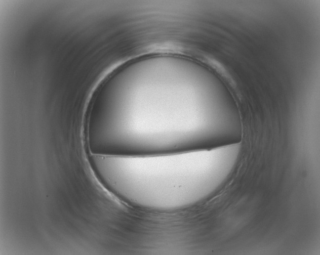 X0000064761331200602101017