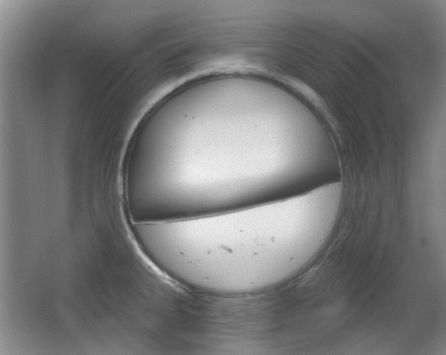 X0000064761335200602101018