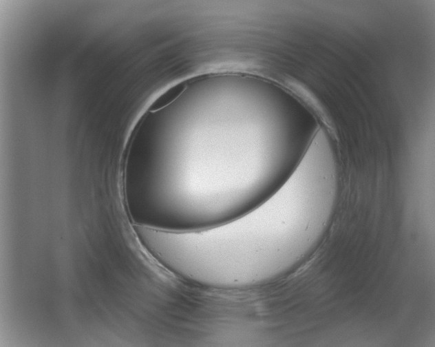X0000064761340200602101018
