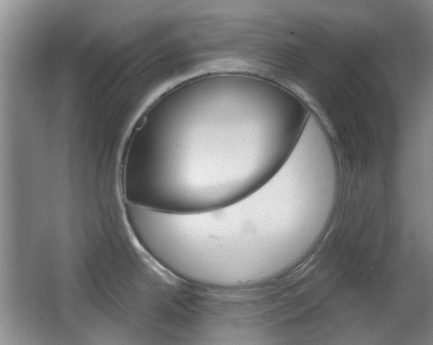 X0000064761342200602101018
