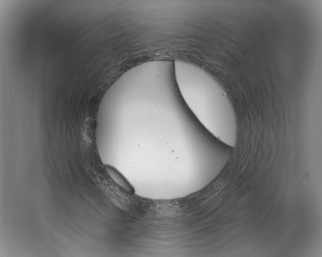 X0000064761346200602101017