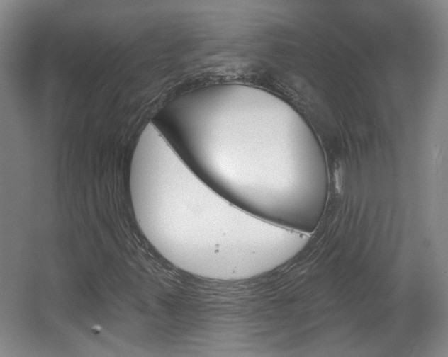 X0000064761347200602101017