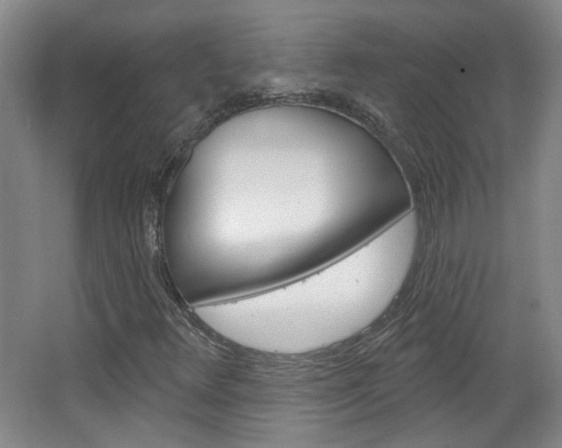 X0000064761348200602101017