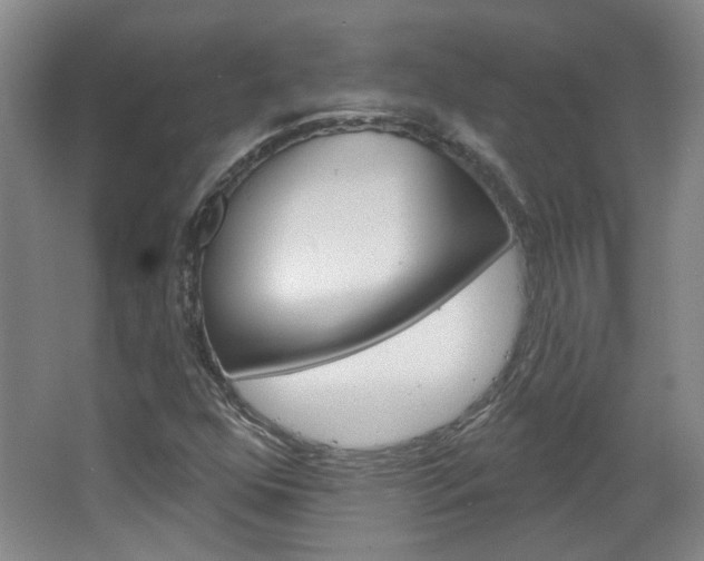 X0000064761352200602101017