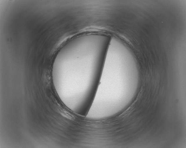 X0000064761355200602101017