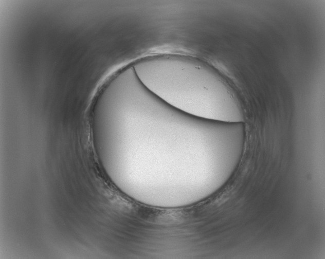 X0000064761358200602101017